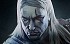 The Witcher