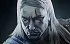 The Witcher