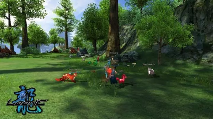 Loong The Power of the Dragon