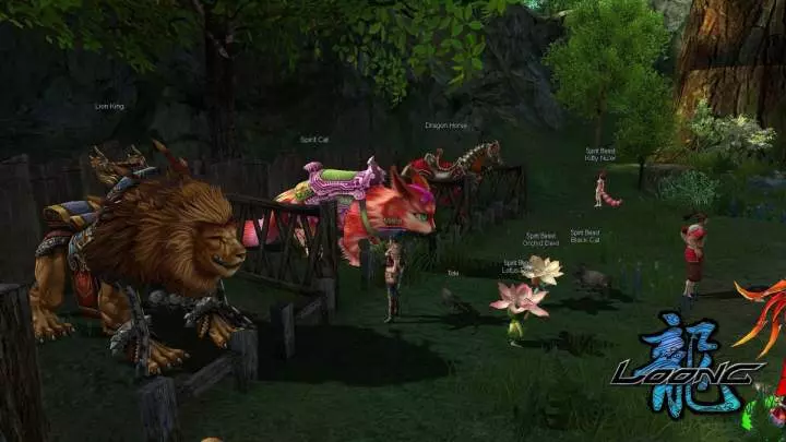 Loong The Power of the Dragon