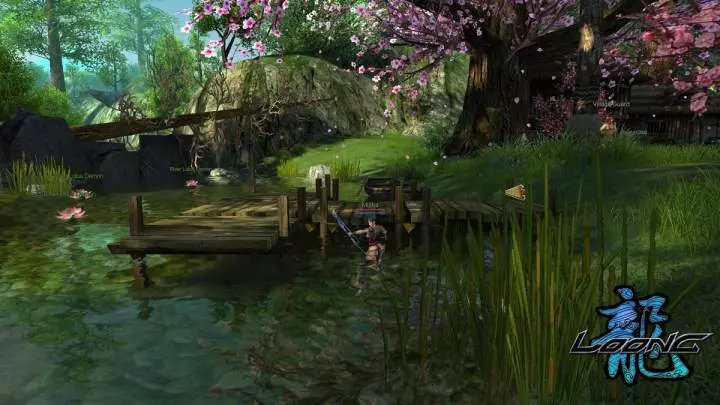 Loong The Power of the Dragon