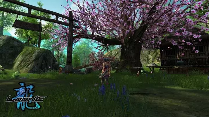 Loong: The Power of the Dragon