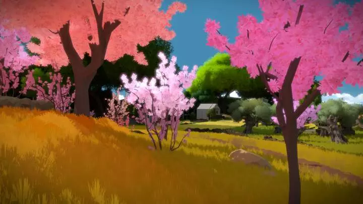 The Witness - PC