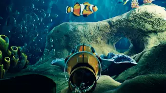 Cuidar peces en un acuario virtual puede no sonar apasionante pero este simulador tal vez te sorprenda