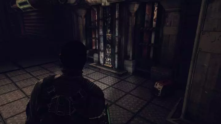 Afterfall Insanity - PC