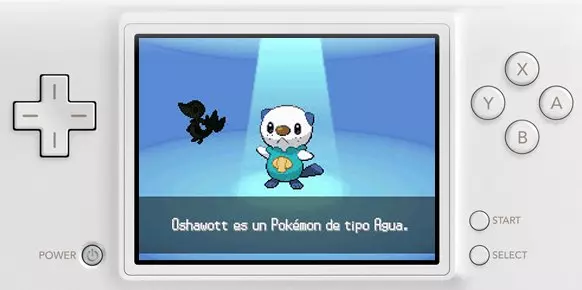 Pokémon Edición Negra DS