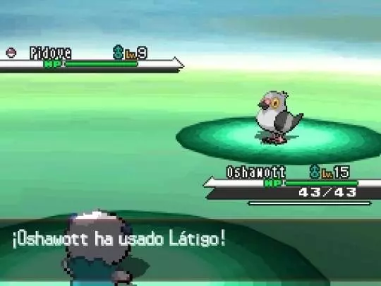 Pokémon Edición Negra