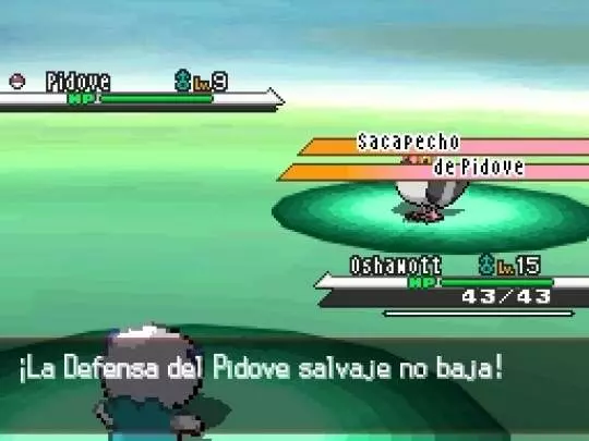 Pokémon Edición Negra