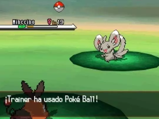 Pokémon Edición Negra