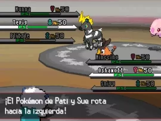 Pokémon Edición Negra