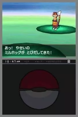Pokémon Edición Negra