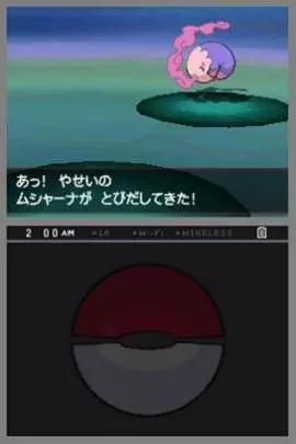 Pokémon Edición Negra - DS