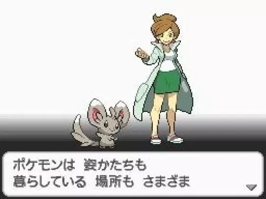 Pokémon Edición Negra - DS