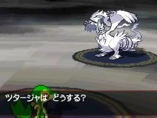 Pokémon Edición Negra