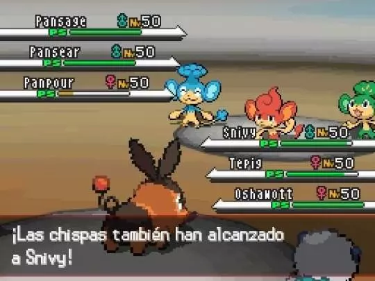 Pokémon Edición Blanca