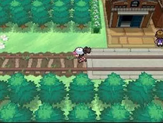 Pokémon Edición Blanca