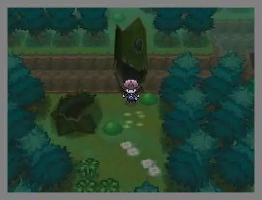 Pokémon Edición Blanca