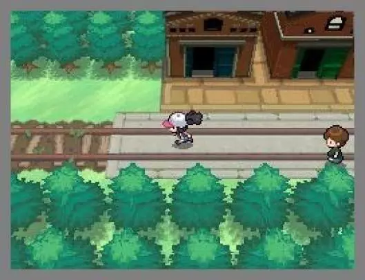 Pokémon Edición Blanca
