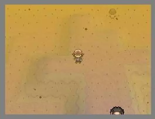 Pokémon Edición Blanca - DS