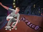 Tony Hawk Shred 