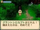 Harvest Moon Village of the Twins - Imagen DS