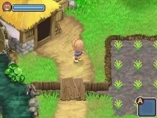 Harvest Moon Village of the Twins