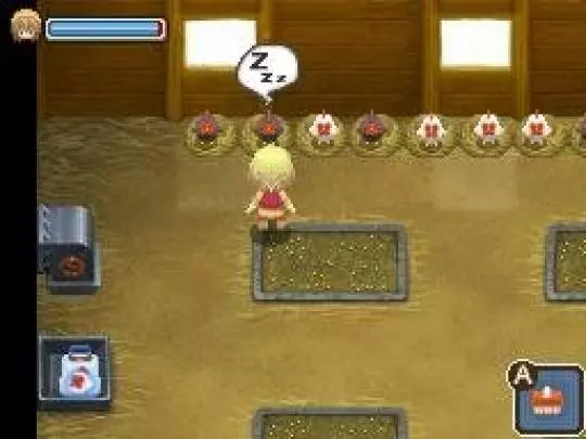 Harvest Moon Village of the Twins