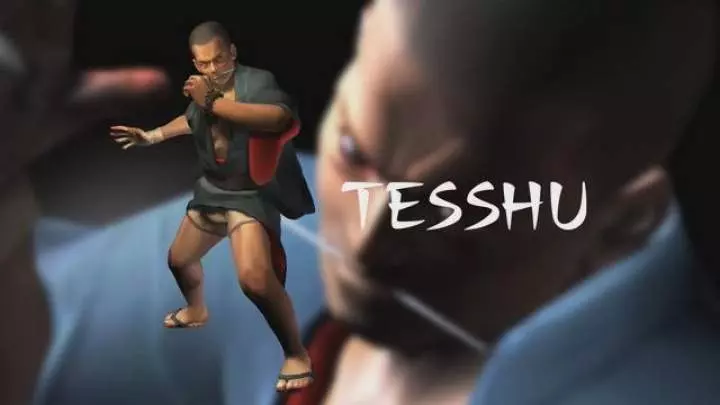 Shadow Assault/Tenchu