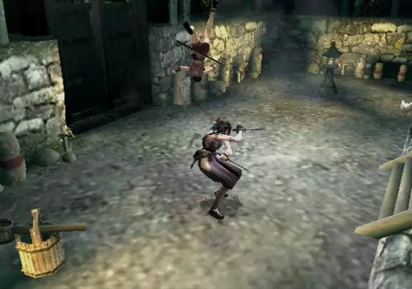 Tenchu Fatal Shadows