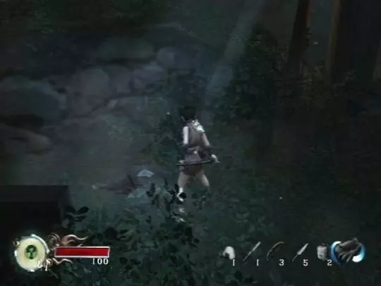 Tenchu Fatal Shadows