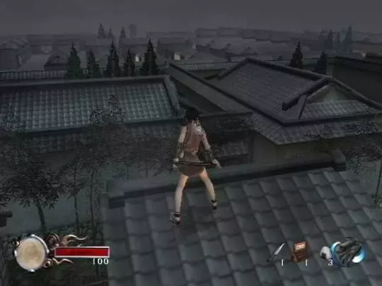 Tenchu Fatal Shadows - PS2