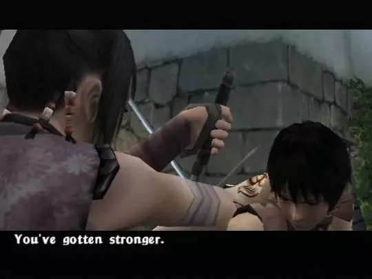 Tenchu Fatal Shadows