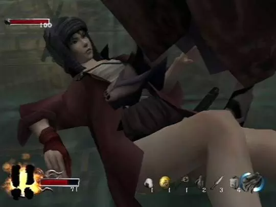 Tenchu: Fatal Shadows