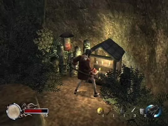 Tenchu Fatal Shadows - PS2