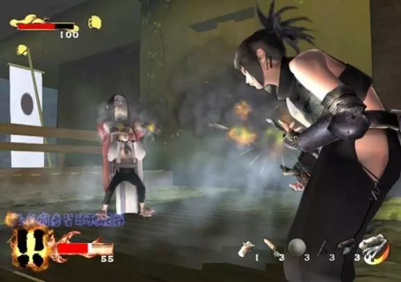 Tenchu Return From Darkness