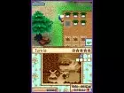Harvest Moon Grand Bazaar - Pantalla