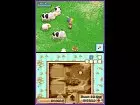 Harvest Moon Grand Bazaar - Pantalla