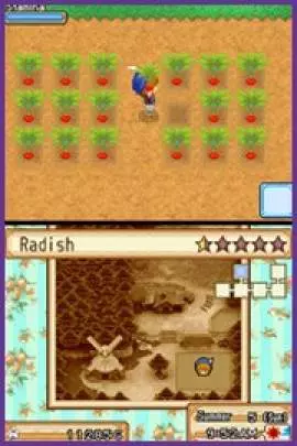 Harvest Moon: Grand Bazaar