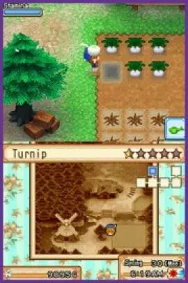 Harvest Moon Grand Bazaar - DS