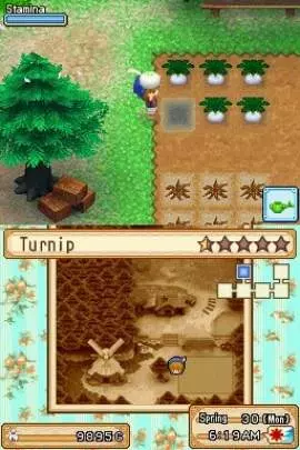 Harvest Moon Grand Bazaar