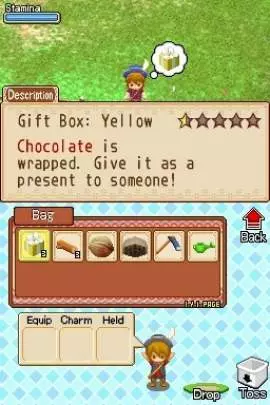 Harvest Moon Grand Bazaar - DS