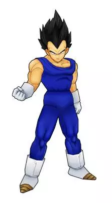 Dragon Ball Z: Tenkaichi Tag Team