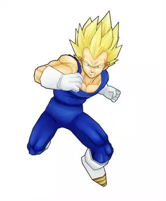 Dragon Ball Z Tenkaichi - PSP