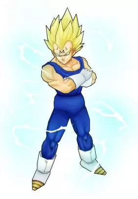 Dragon Ball Z Tenkaichi