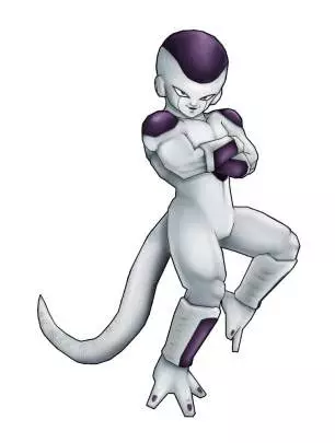 Dragon Ball Z: Tenkaichi Tag Team