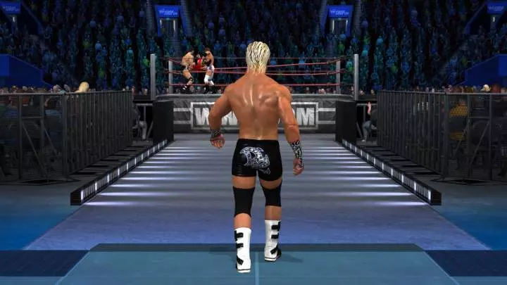 WWE: Smackdown vs. RAW 2011