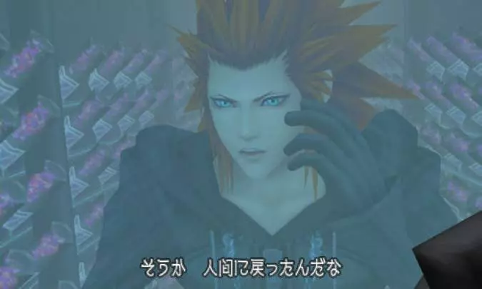 Kingdom Hearts 3D - 3DS