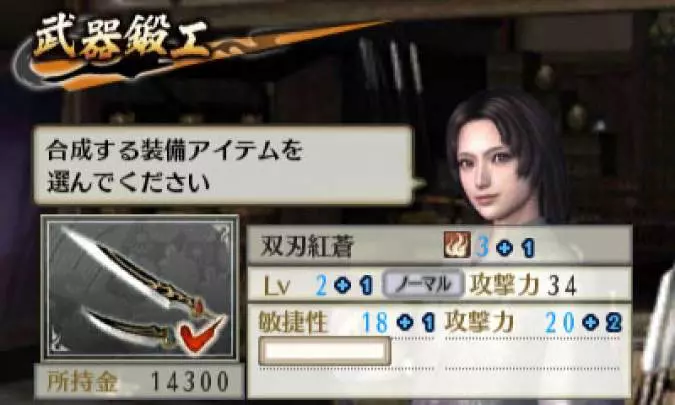 Samurai Warriors Chronicles