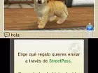 Nintendogs + Cats - Imagen 3DS