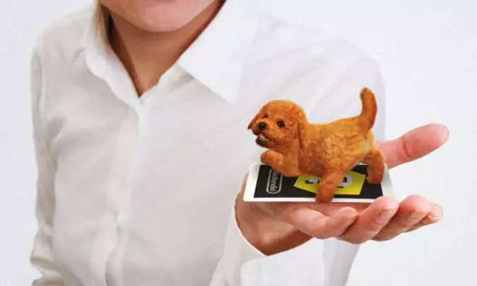 Nintendogs + Cats - 3DS